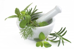 eminence adagio salon natural ingredients